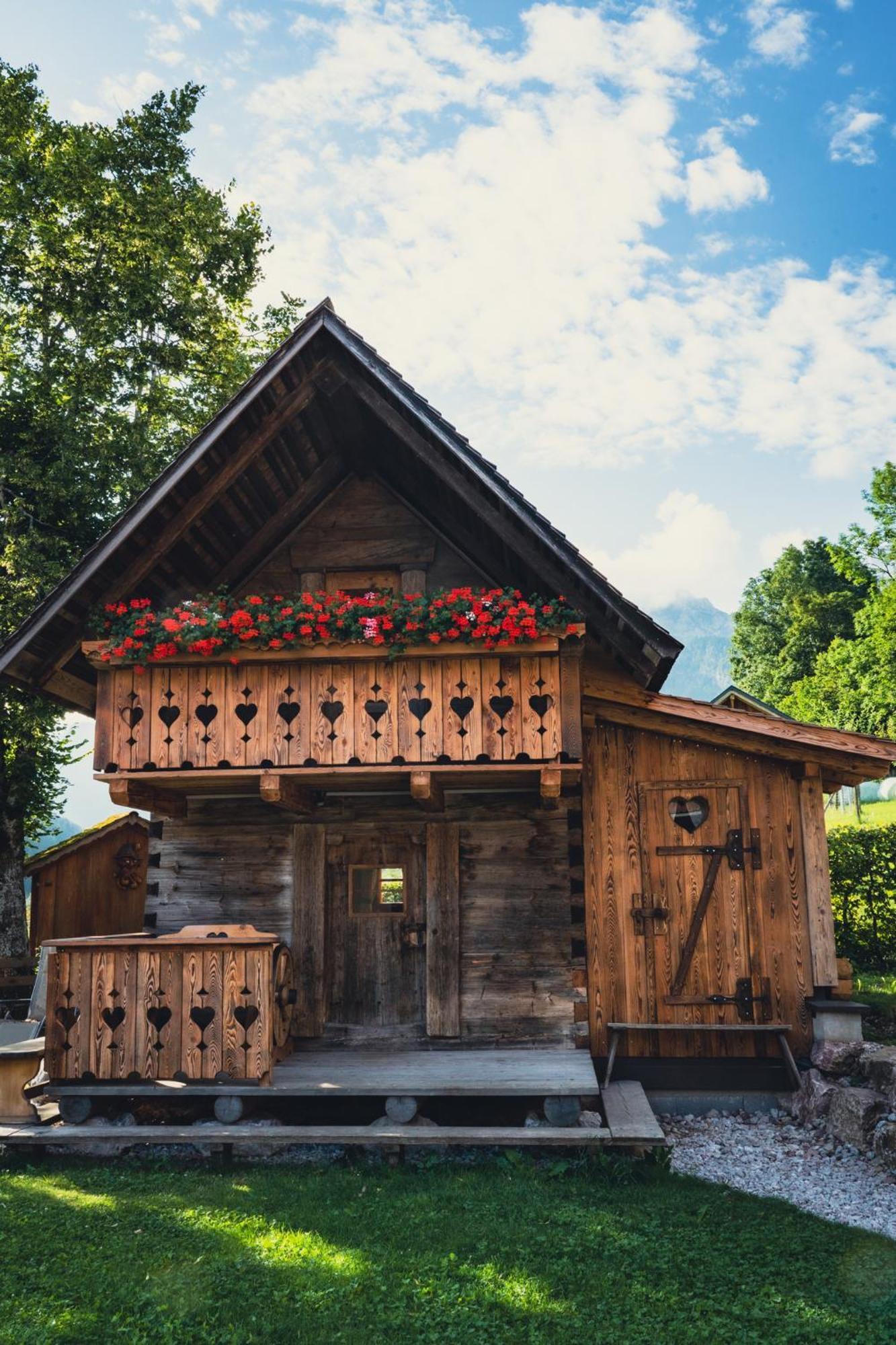 Singerskogel - Ferienhof Und Jausnstub'N Spital Am Pyhrn Exterior foto